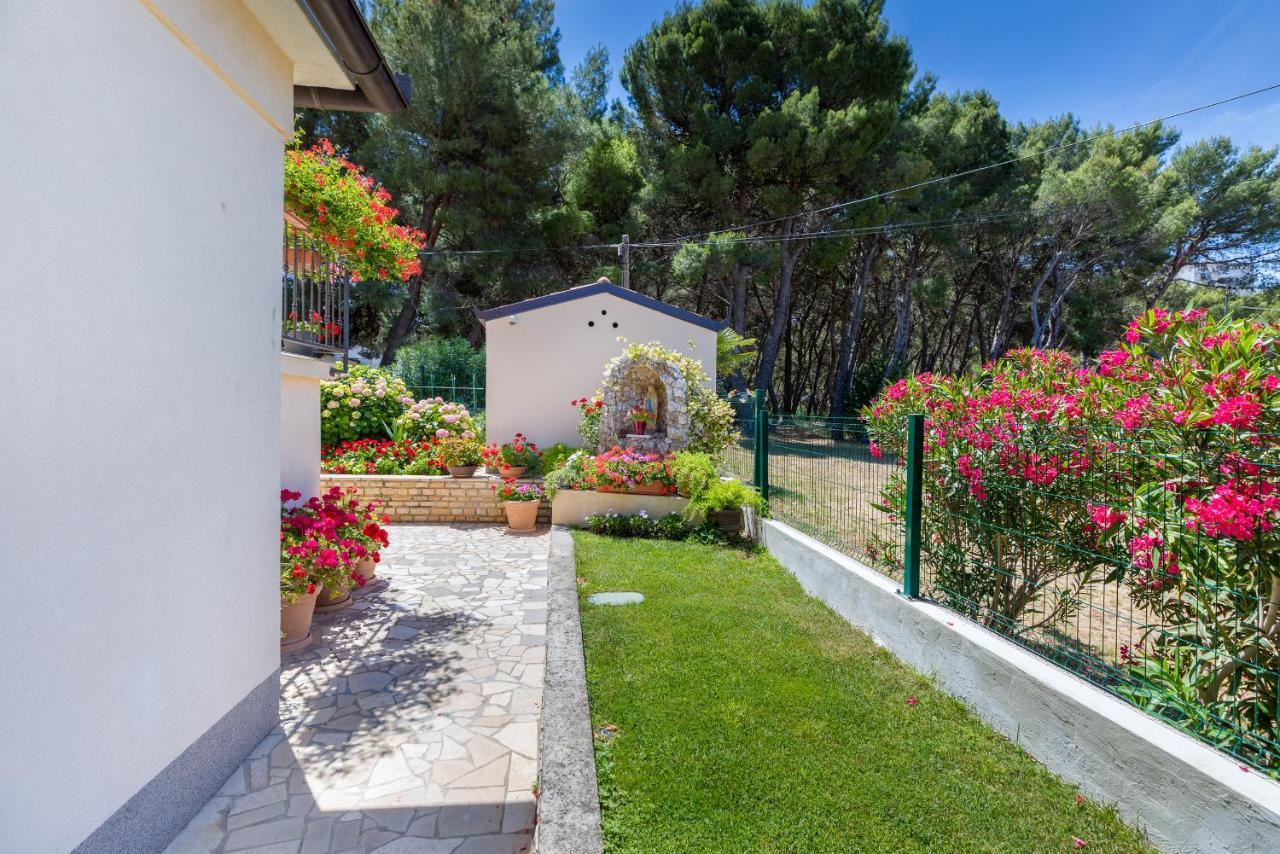 Apartment Hortensia Pula