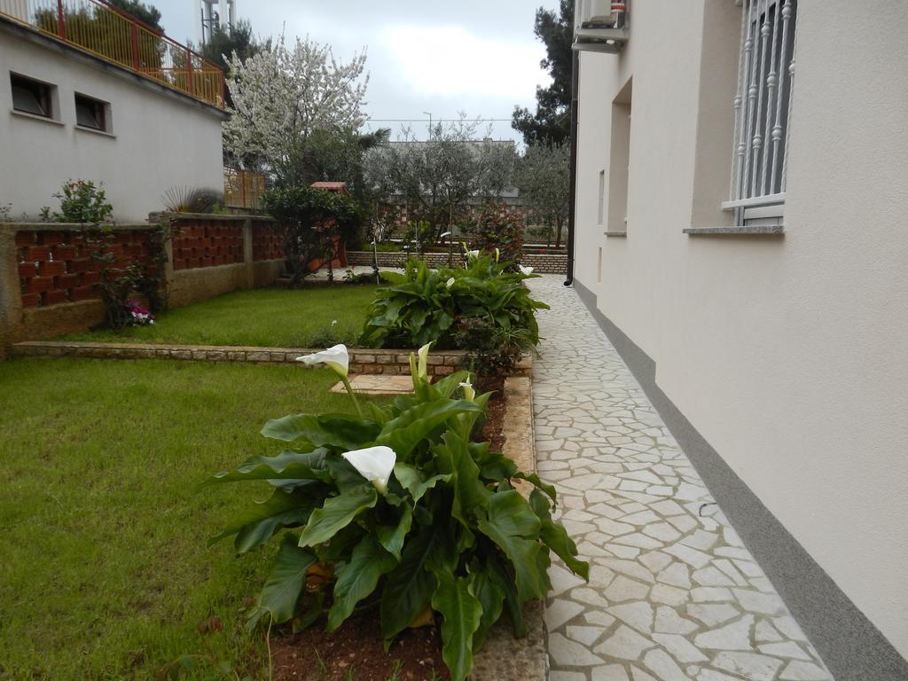 Hortensia Pula