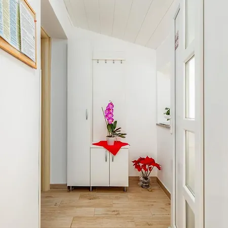 Apartments Hortensia Pula Exterior photo
