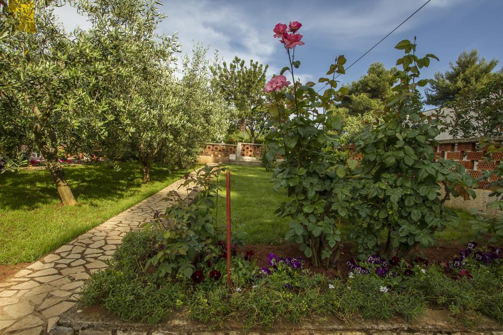 Apartman Hortensia